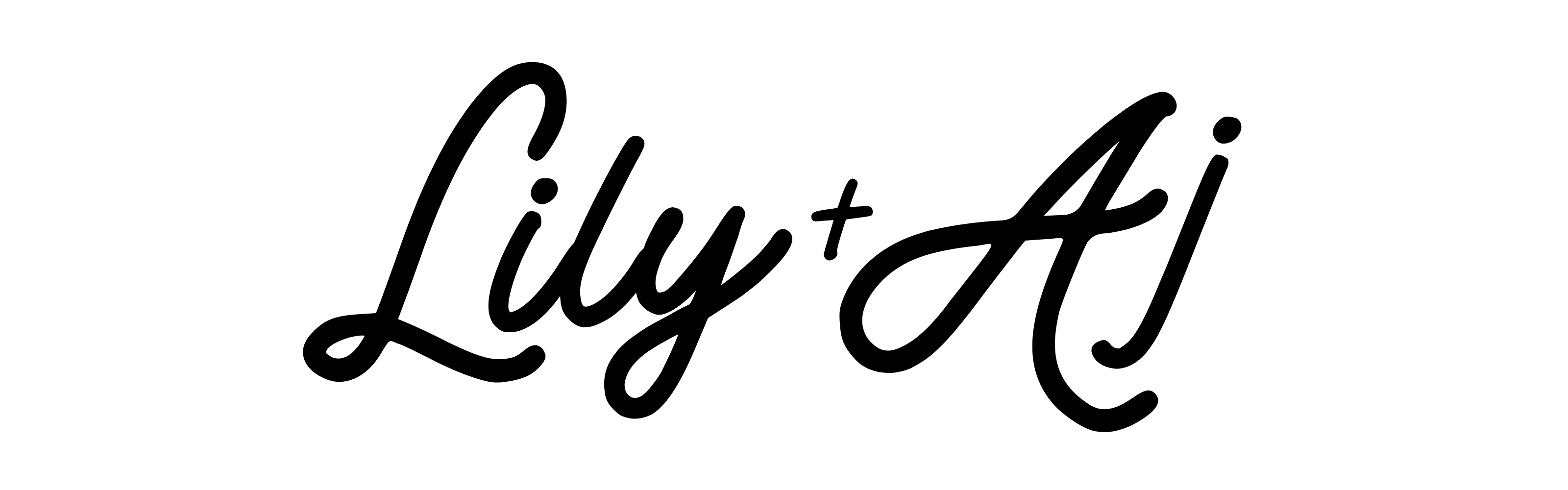 Lily + AJ Clothing Co. logo